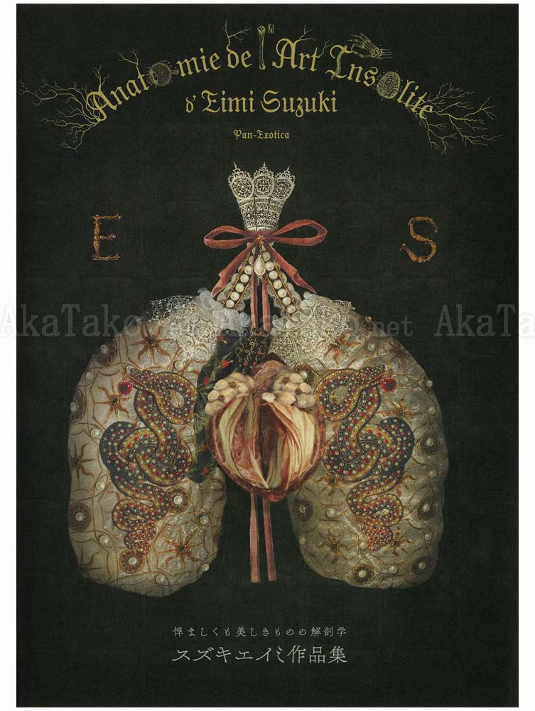 Anatomie de l'Art Insolite d'Eimi Suzuki SIGNED