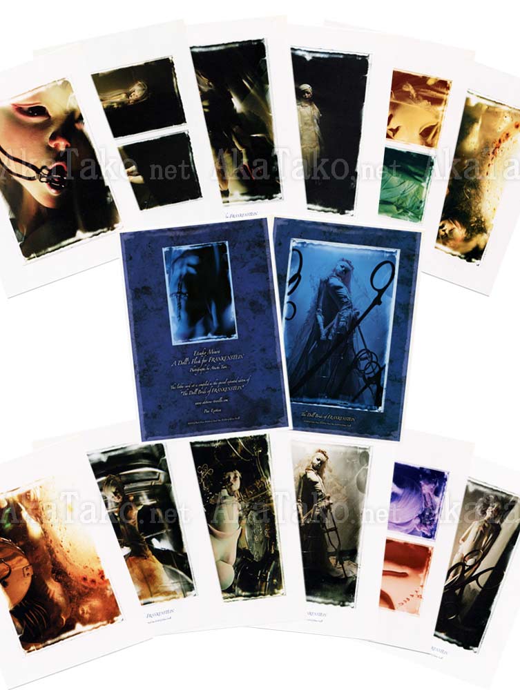 Etsuko Miura A Doll's Flesh for Frankenstein Cards