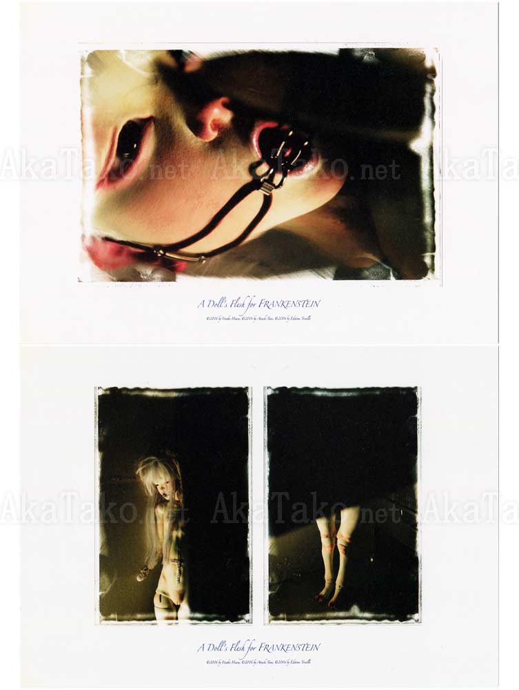 Etsuko Miura A Doll's Flesh for Frankenstein Cards