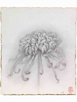 Fuco Ueda Original Drawing 2