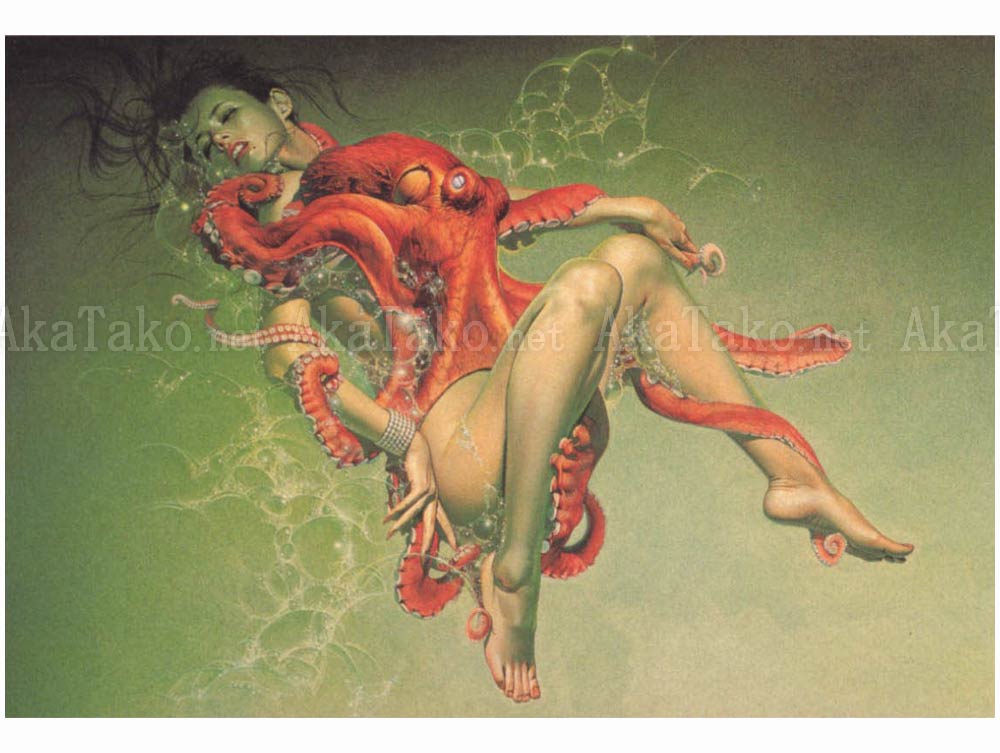 Hajime Sorayama Lithograph Print 11