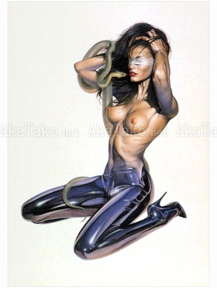 Hajime Sorayama Lithograph Print 20