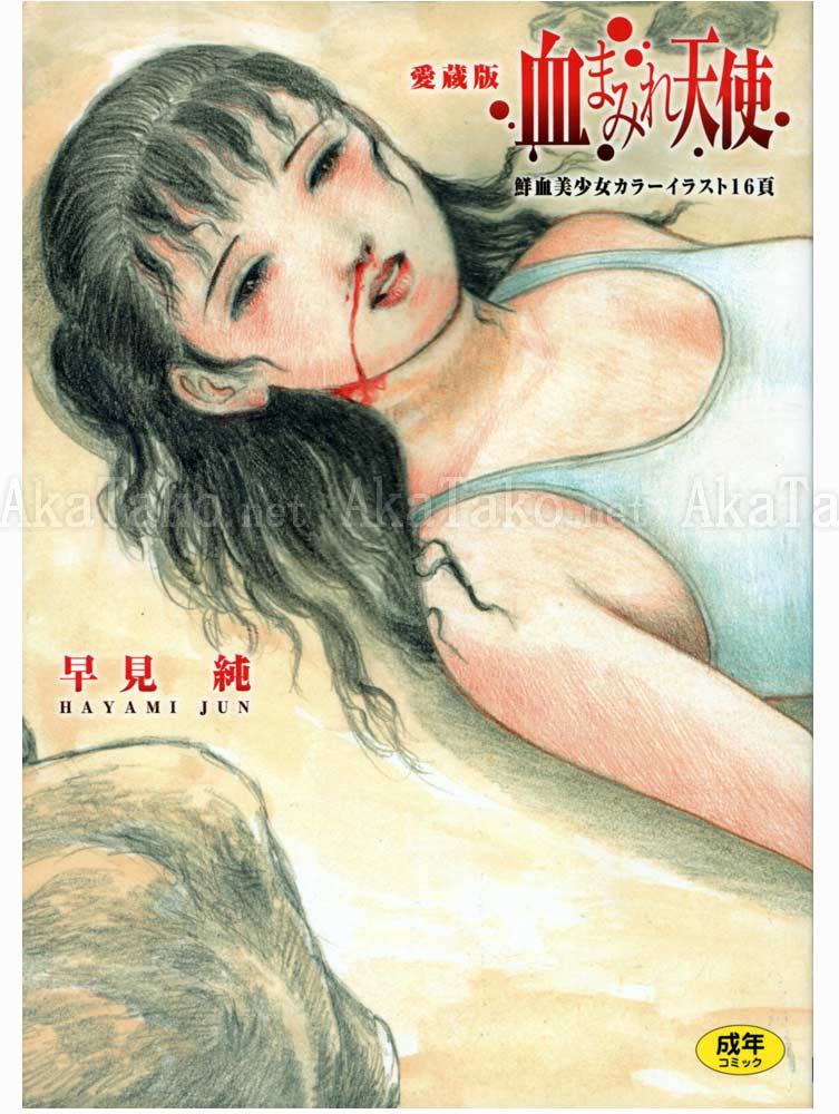 Jun Hayami Bloodstained Angel SIGNED Jun Hayami Bloodstained Angel SIGNED