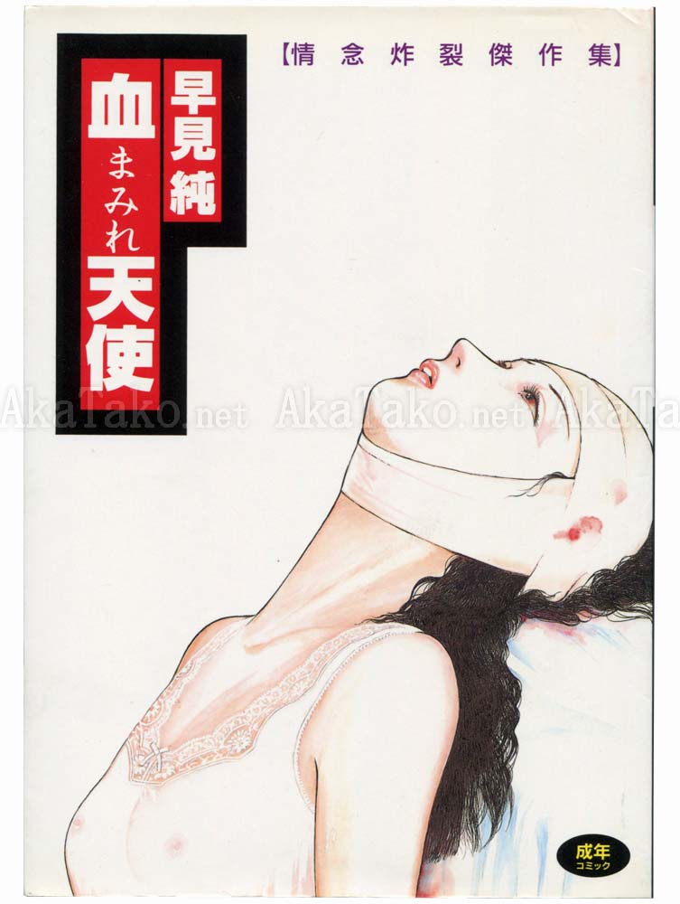 Jun Hayami Bloodstained Angel 1st Ed