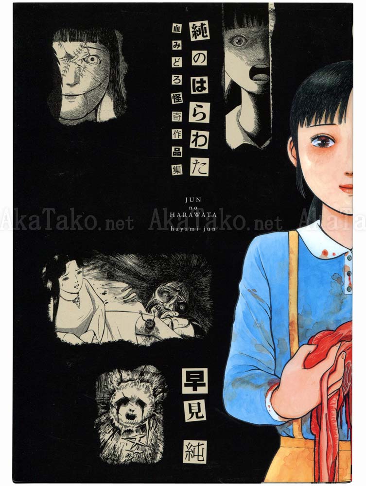 Jun Hayami Jun no Harawata