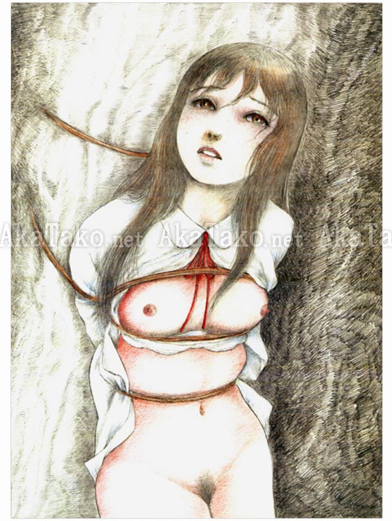 Jun Hayami Love? Punishment? Original