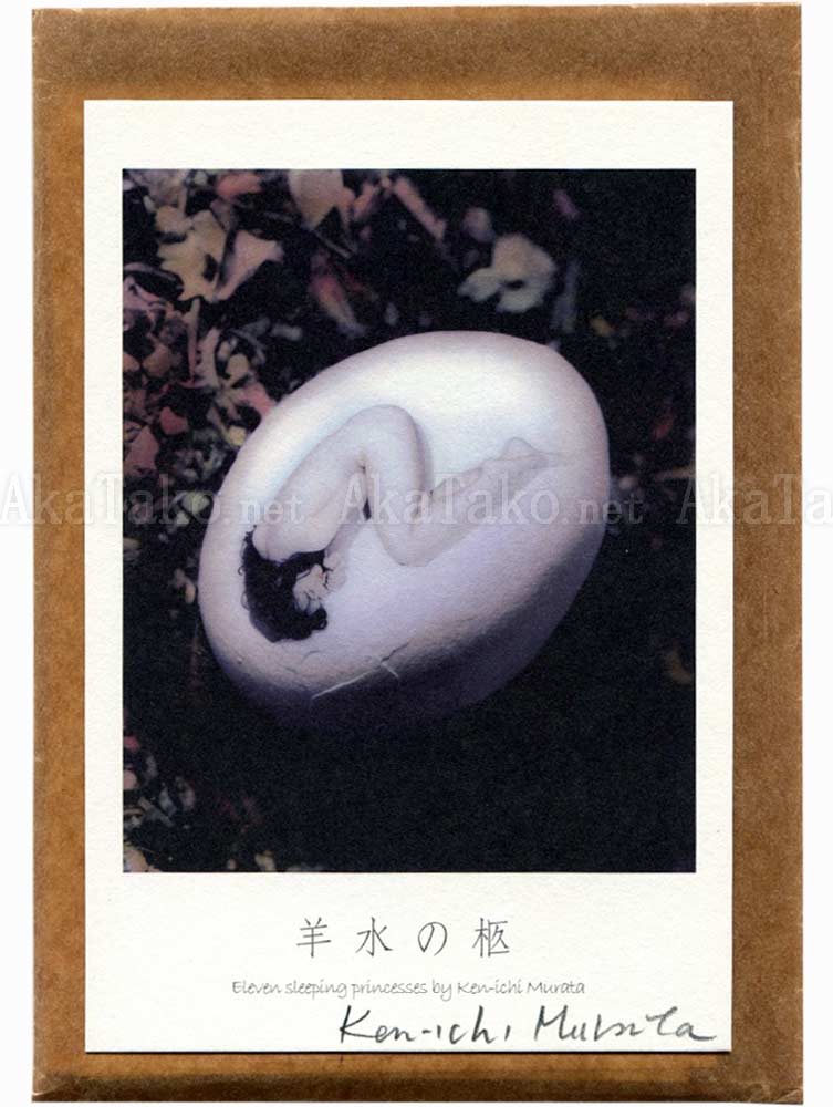 Kenichi Murata 11 Sleeping Princesses Postcard Set