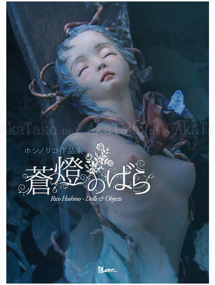 Rico Hoshino Dolls & Objects SIGNED
