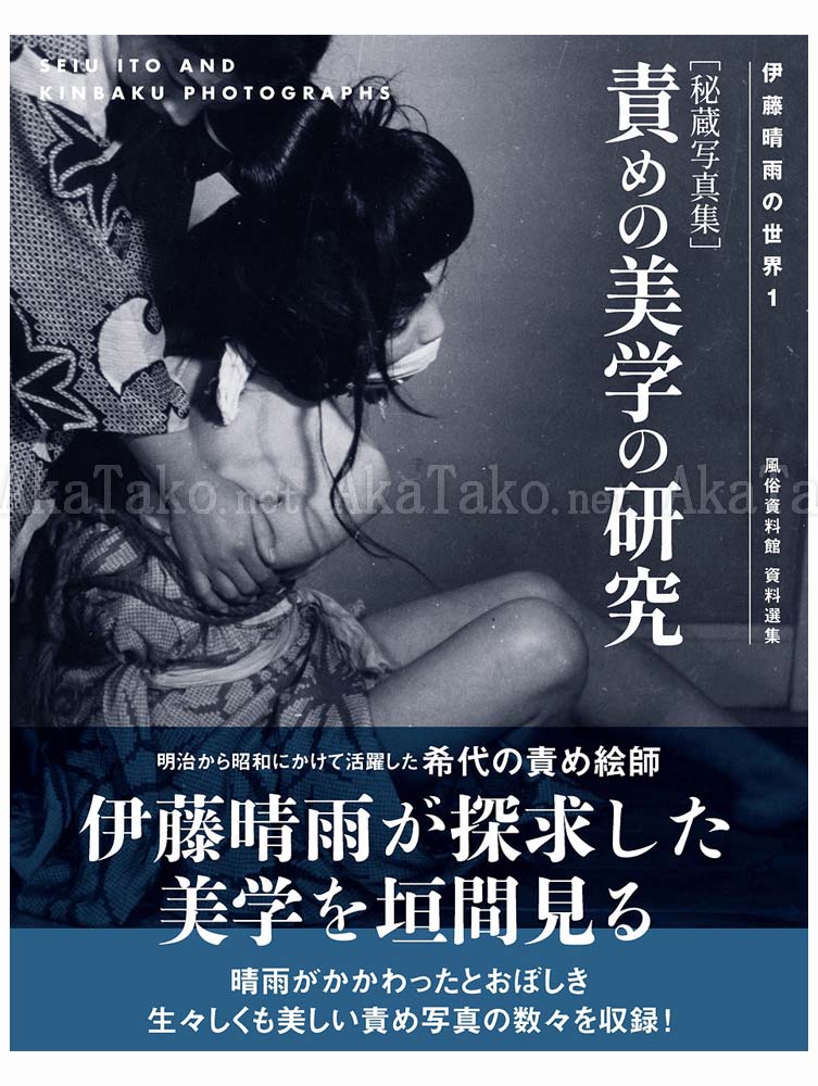 Seiu Ito Kinbaku Photos