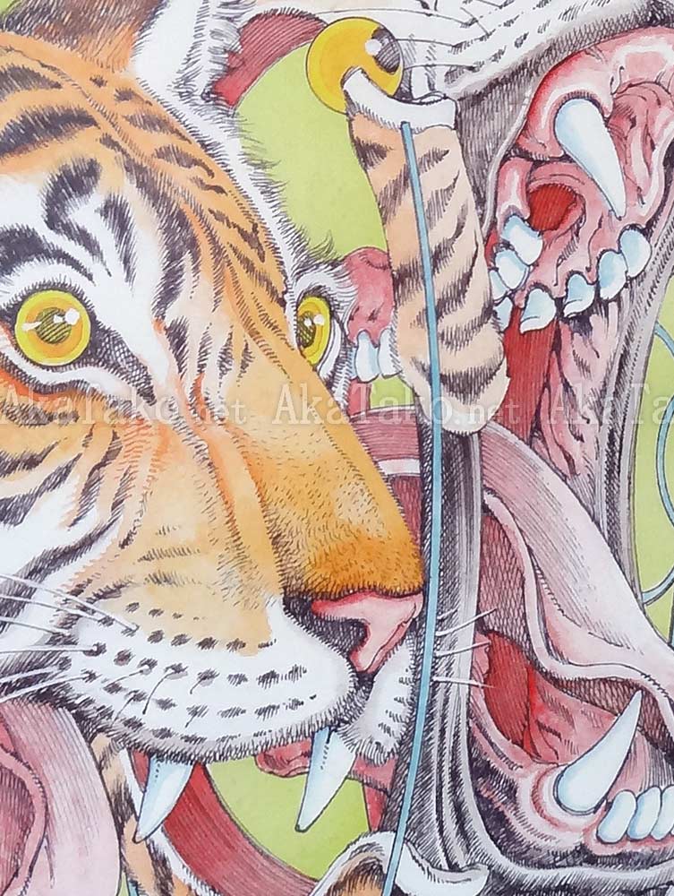Shintaro Kago Poster Tiger SIGNED