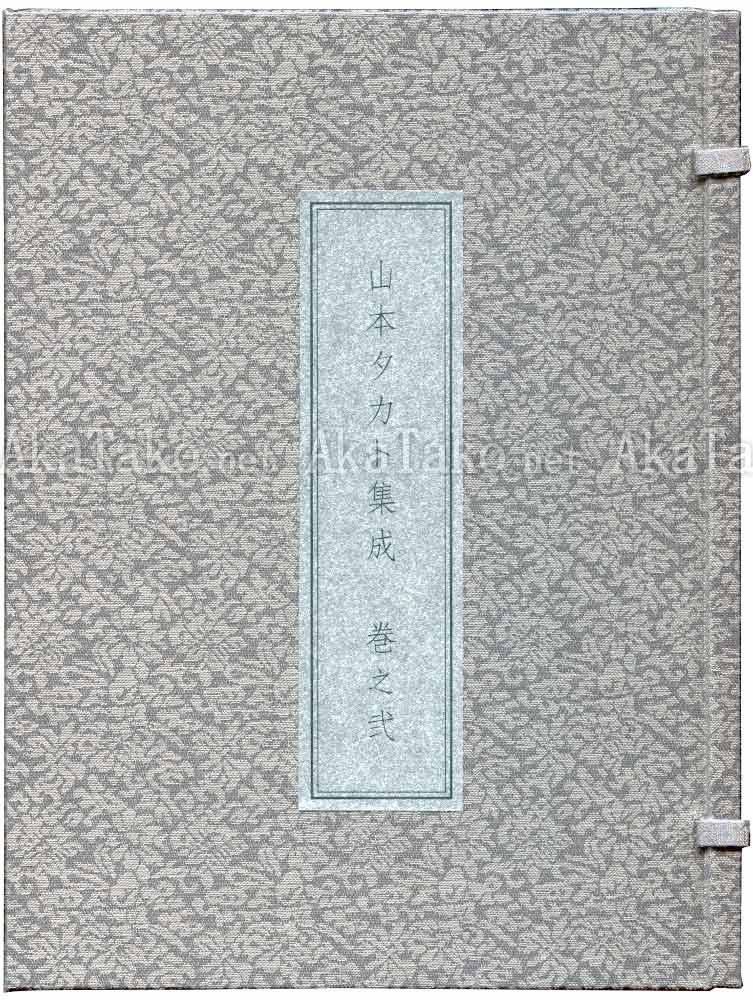 Takato Yamamoto silver book set