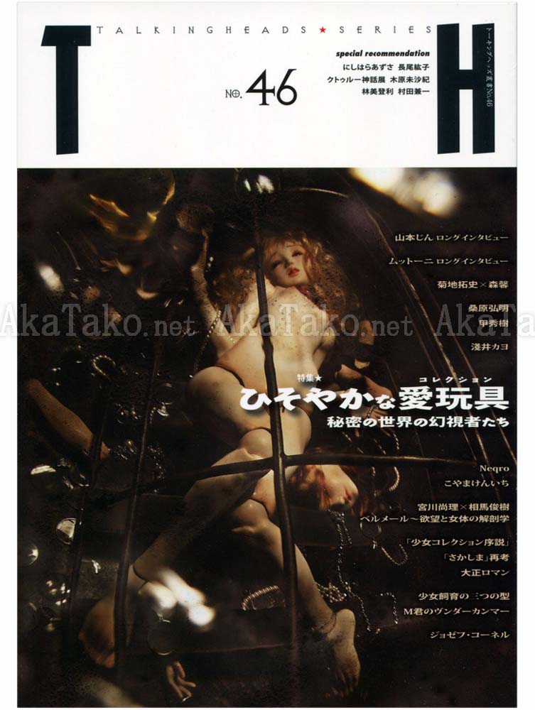 Talking Heads No. 46 Secret Love Toy