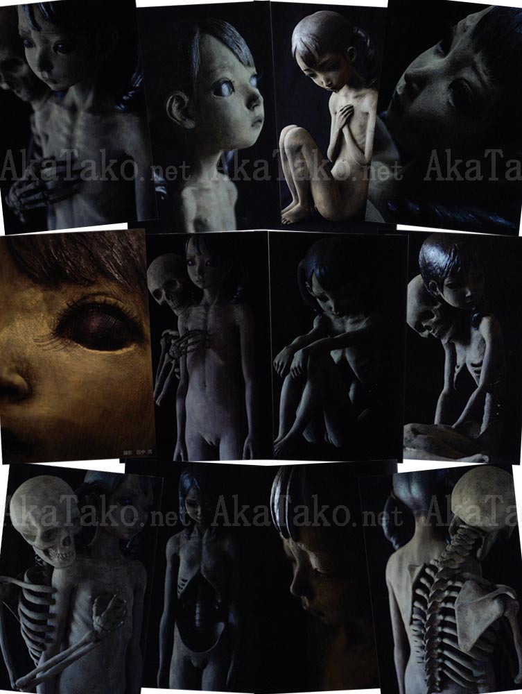 Tsutomu Kawakami Postcard Set