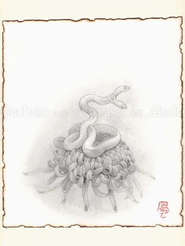 Fuco Ueda Chrysanthemum and Double Headed Snake Original Drawing