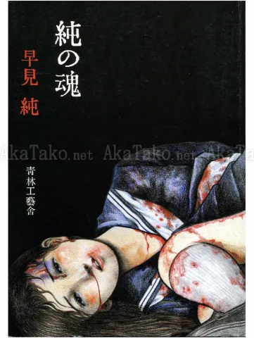 Jun Hayami Beauty Labyrinth of Razors (front cover)