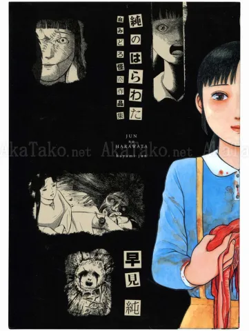 Jun Hayami Jun no Harawata - front cover