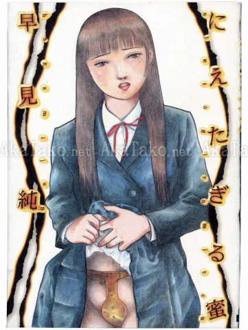 Jun Hayami Nietagiru Mitsu - front cover