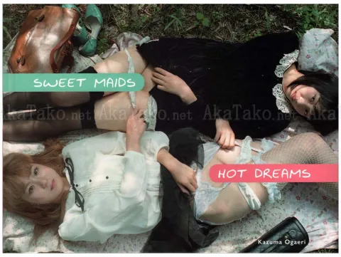 Kazuma Ogaeri Sweet Maids Hot Dreams - front cover