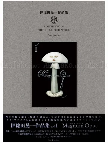 Koichi Iyoda Magnum Opus SIGNED - slip case front cover
