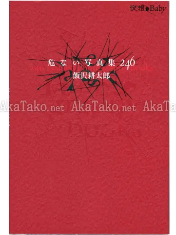 Kotaro Iizawa 246 Loaded Photography Books front cover