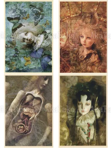 Mari Shimizu Postcard Set 3