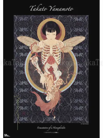 Takato Yamamoto Fermentation of a Hermaphrodite poster