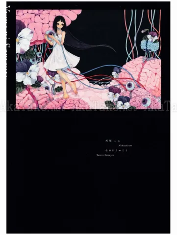 Yume ni Samayou Em Nishizuka - front cover