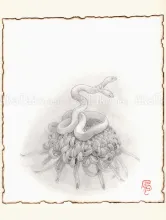 Fuco Ueda Chrysanthemum and Double Headed Snake Original Drawing