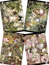 Tama Postcard Group 17