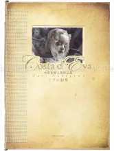 Tari Nakagawa Costa d'Eva SIGNED - front cover