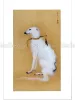 Fuyuko Matsui - A Blind Dog