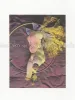 Hans Bellmer The Doll inside pages