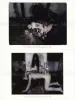 Kenichi Murata 11 Sleeping Princesses Postcards