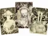 Kozue Kuroki Postcard Set 2009
