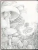 Kyotaro Kinoko Alice in Mushroom Land - inside page