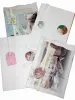 LIEN Seabed Tuberosa accordian cards and booklets