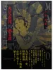Suehiro Maruo Maruograph DX II revision green SIGNED - front cover