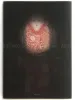 Takato Yamamoto Nosferatu Ltd Ed 75 SIGNED - front cover