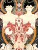 Takato Yamamoto print Twin Roses detail